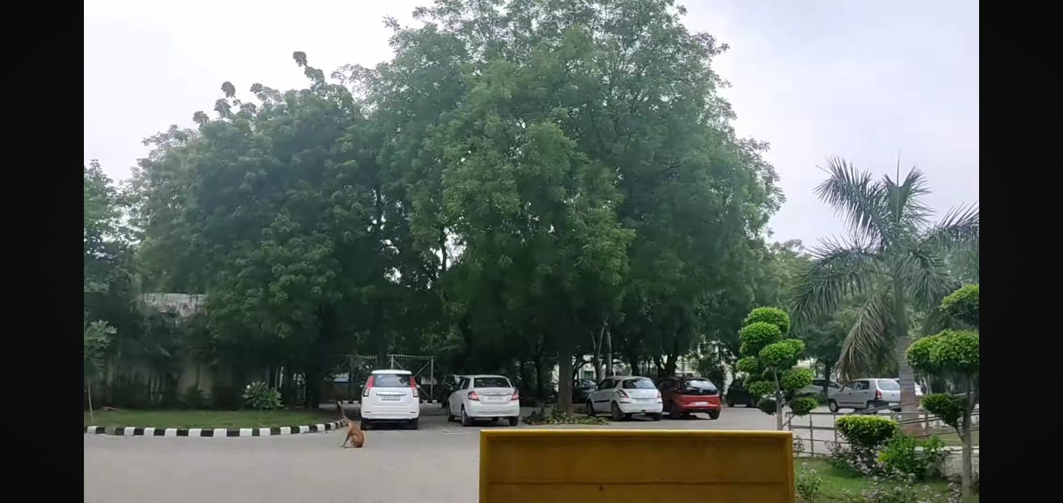 Sri Venkateswara Campus photo 27